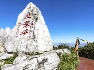 小韭菜坪