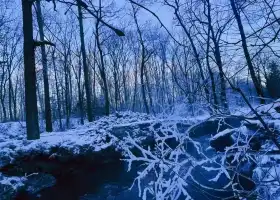 長白山祕境霧凇漂流風景區