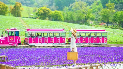 霊山小鎮拈花湾