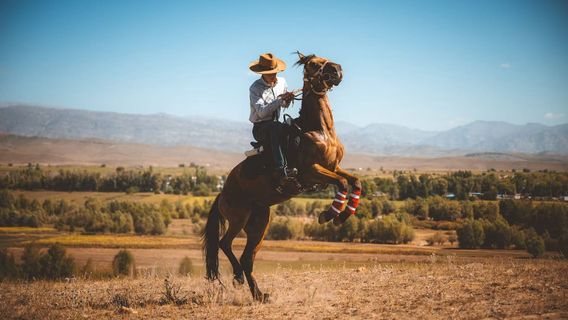 A Ranch Equestrian Base