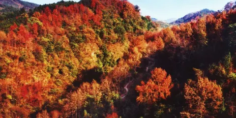 桂林古東景區