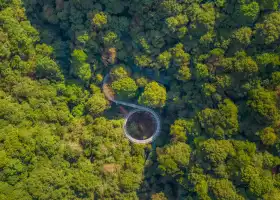 Qiandao Lake Forest Oxygen Bar