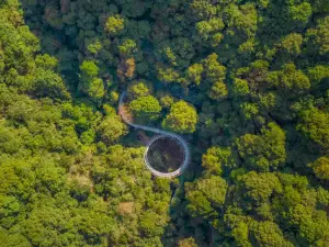 ทะเลสาบพันเกาะป่าออกซิเจนบาร์