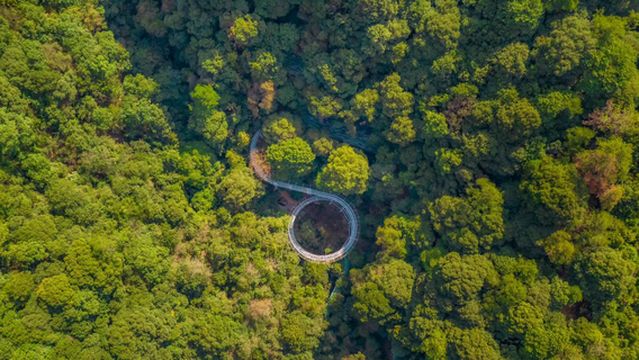 Qiandao Lake Forest Oxygen Bar