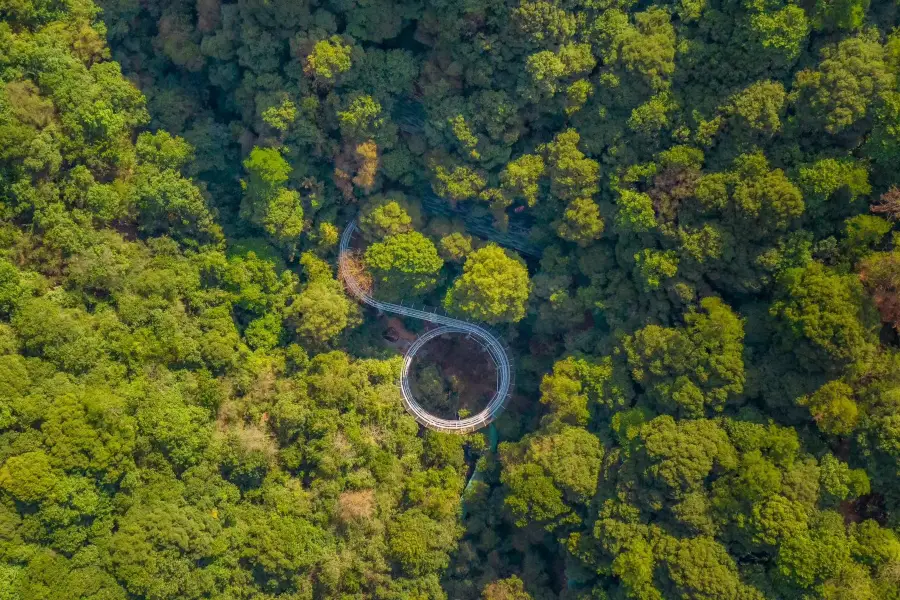 ทะเลสาบพันเกาะป่าออกซิเจนบาร์