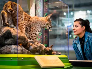 California Academy of Sciences