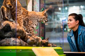 Top 10 Family-Friendly Attractions in San Francisco