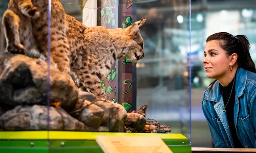 California Academy of Sciences