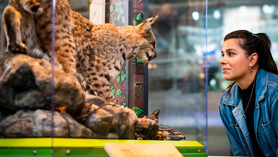 California Academy of Sciences