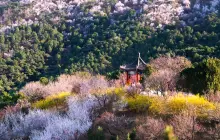 Beijing Xishan National Forest Park