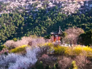 Beijing Xishan National Forest Park