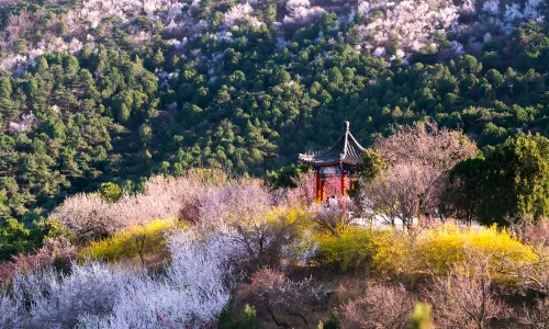 Beijing Xishan National Forest Park