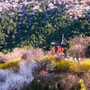 北京西山國家森林公園