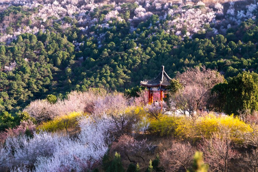 北京西山國家森林公園