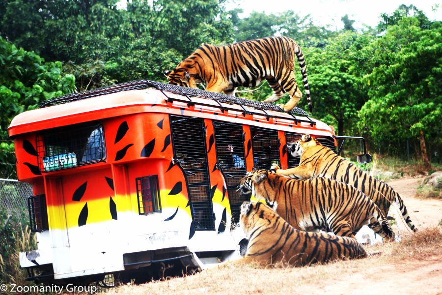 Tiket pesawat Bahrain Subic Bay