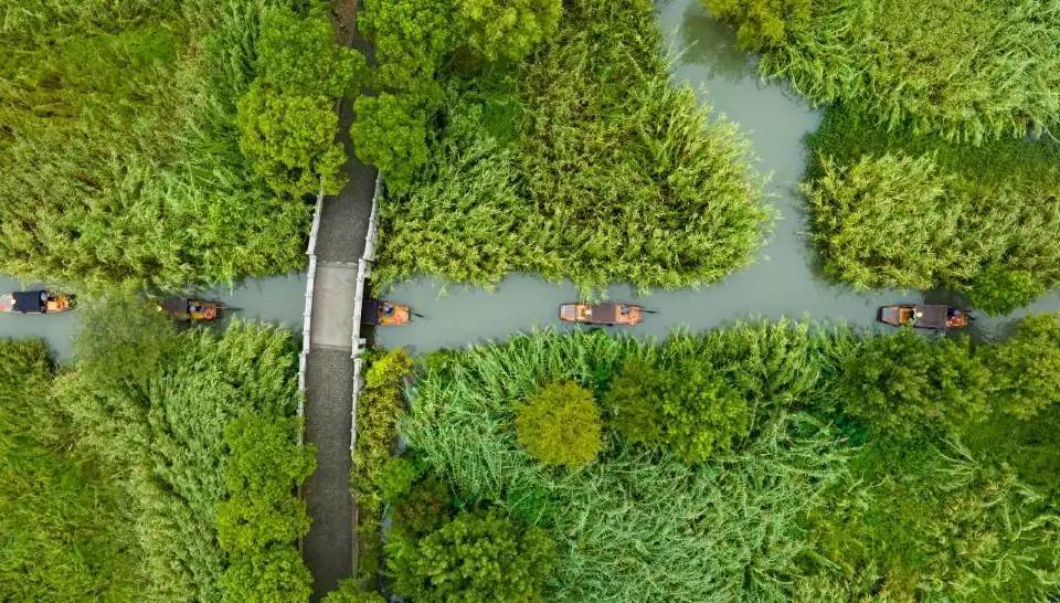 4_Shajiabang Reed Wetland