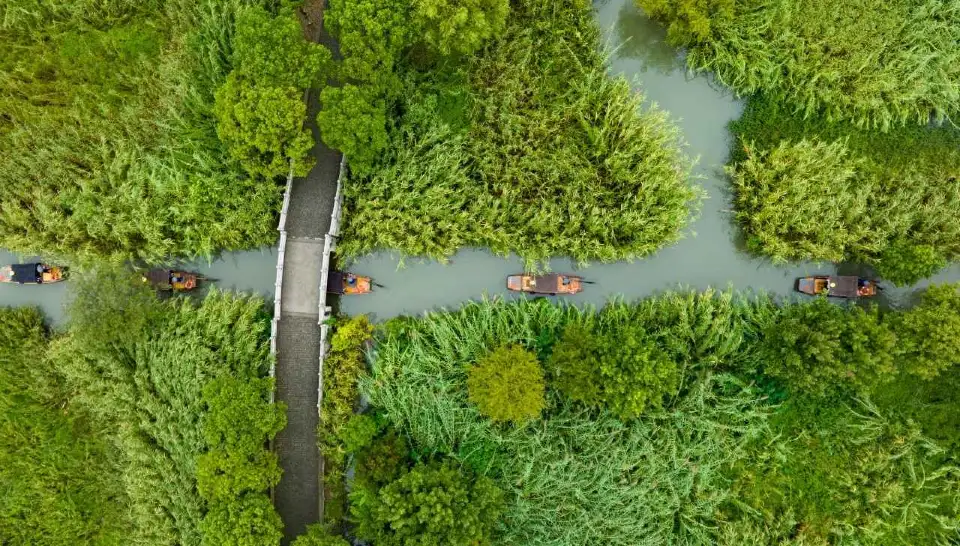 4_Shajiabang Reed Wetland