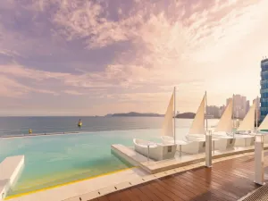 클럽디 오아시스