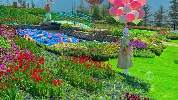 Hongye Shiyan Tourist Area