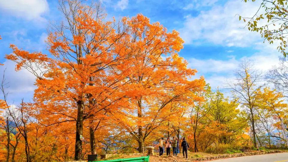 3_Shennongjia Tourism Area