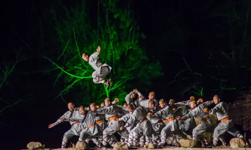 Martial Arts Performances in Zhengzhou