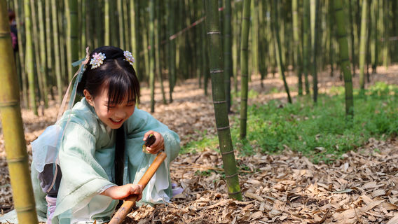 Bamboo Shoot Digging in Liyang