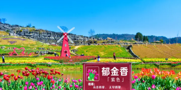 寒武紀石林景區