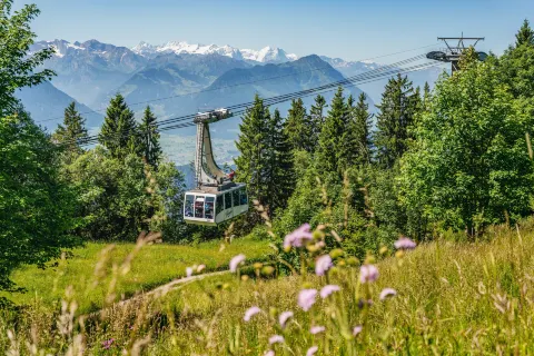Rigi