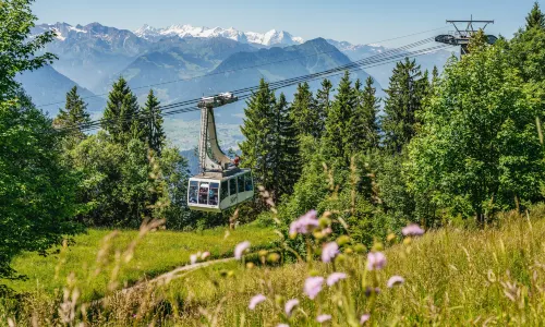 Rigi