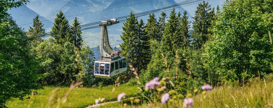 Rigi
