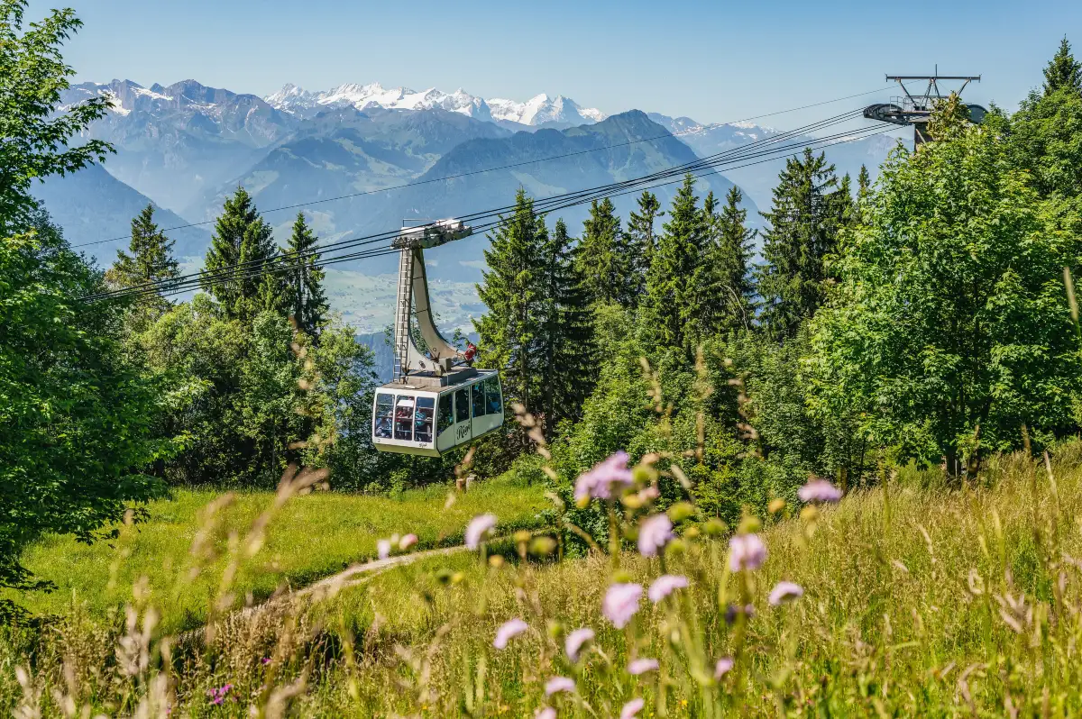 Rigi