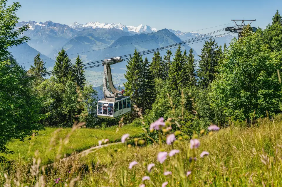 1_Rigi