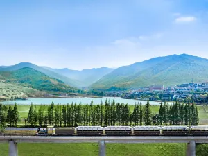 Yao Hu Town