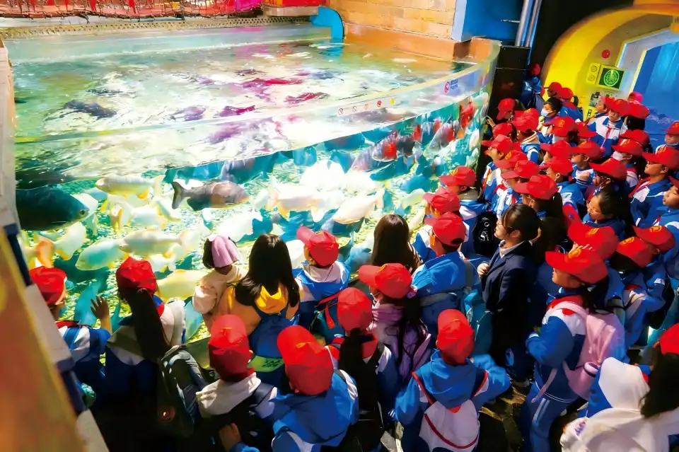 2_Chengdu Cube Oceanarium