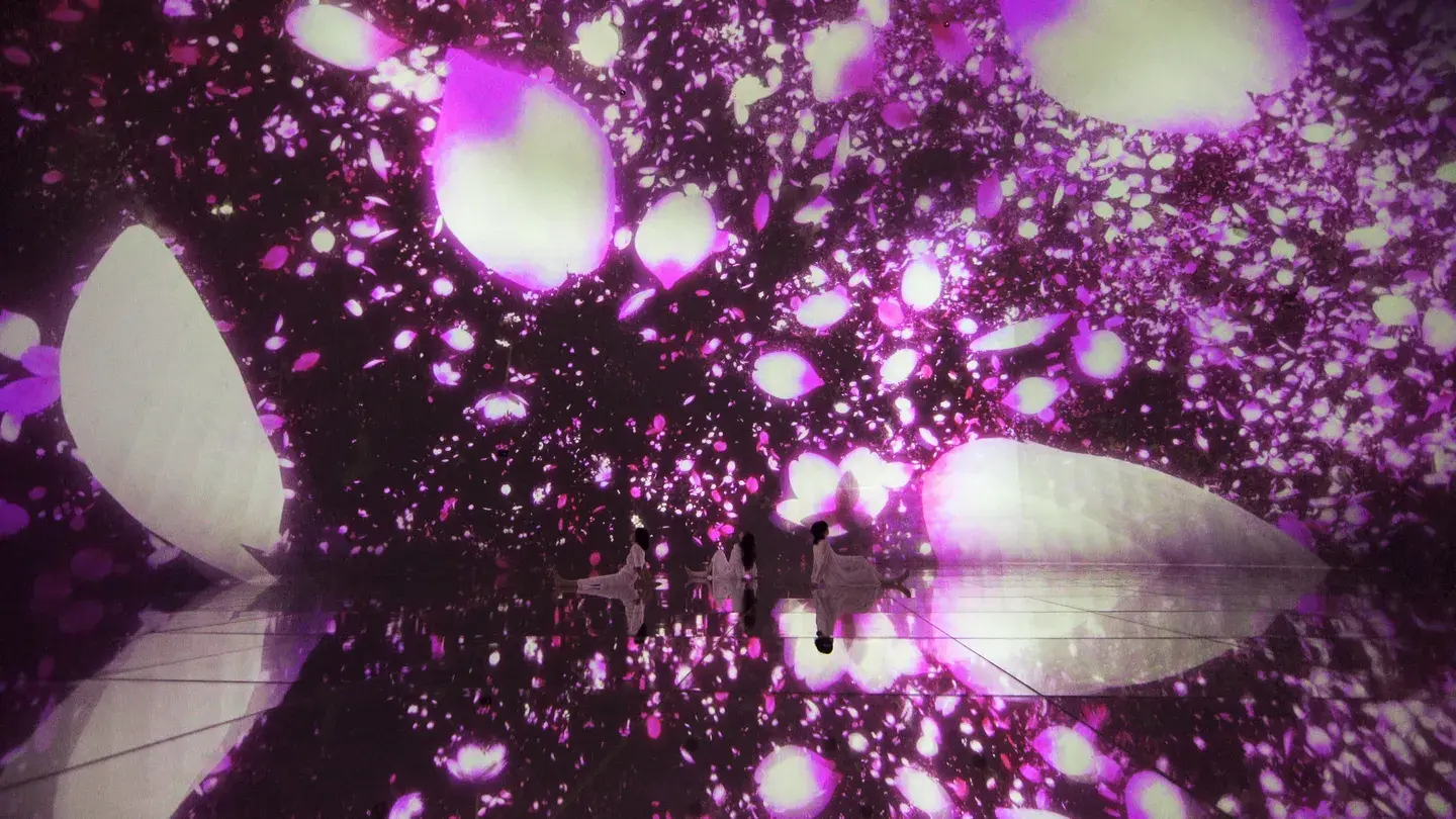 5_TeamLab Planets TOKYO