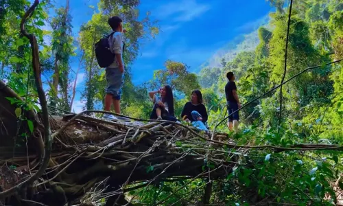 Hiking in Xishuangbanna