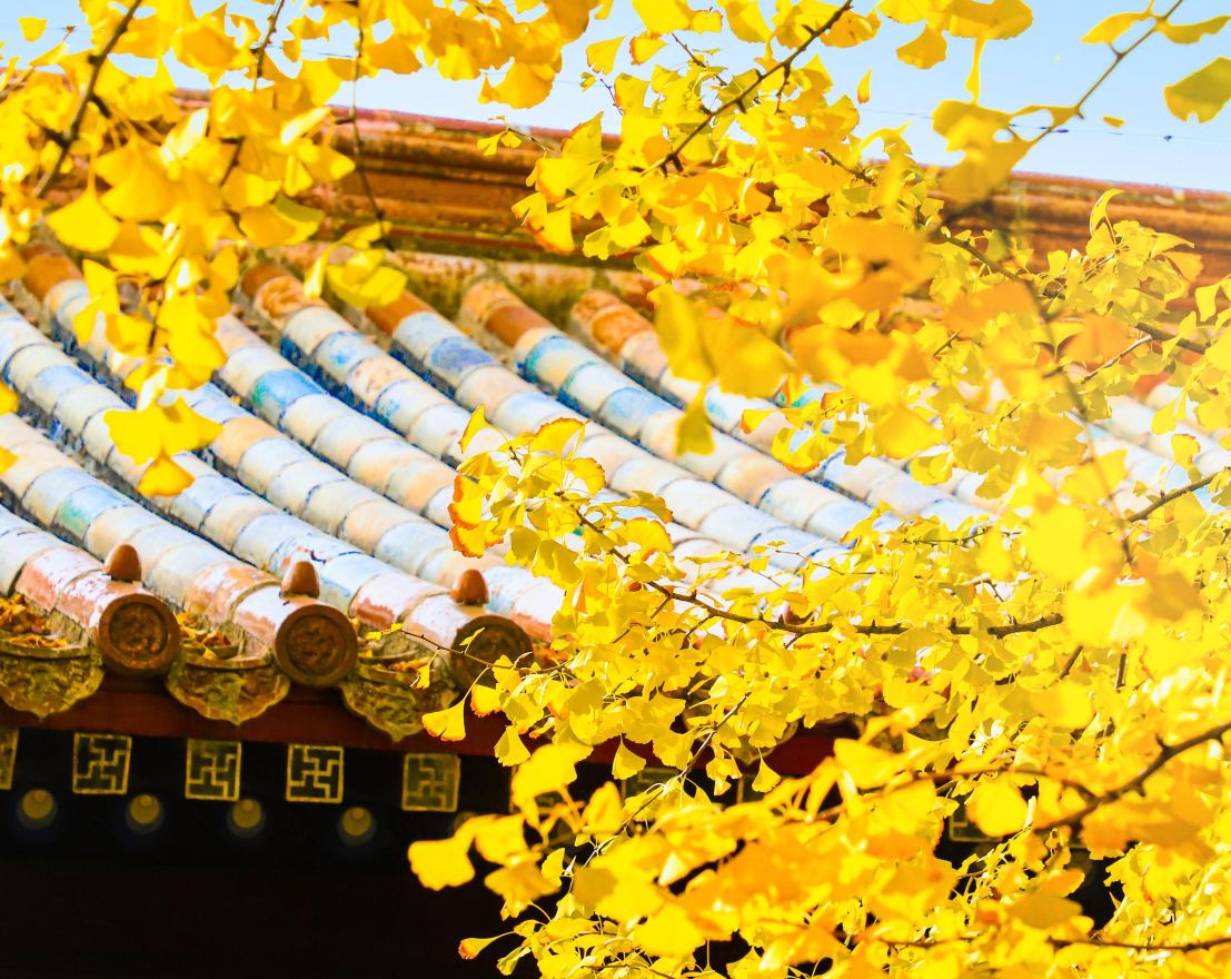 Confucius Temple
