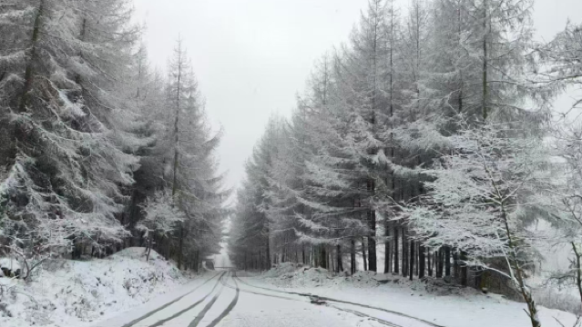 wen chuan huang cao ping