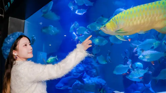 4_上海海洋水族館