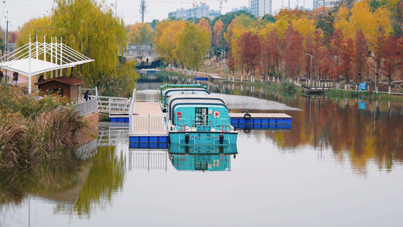 Night Tour of Shuangqing Bay