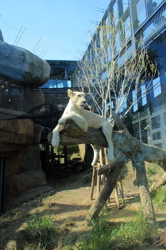 5_Okinawa Zoo & Museum