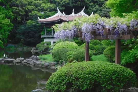 Синдзюку-Гёэн