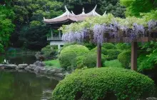 Shinjuku Gyoen National Garden