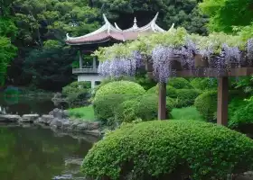 Shinjuku Gyoen National Garden