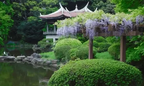Shinjuku Gyoen National Garden