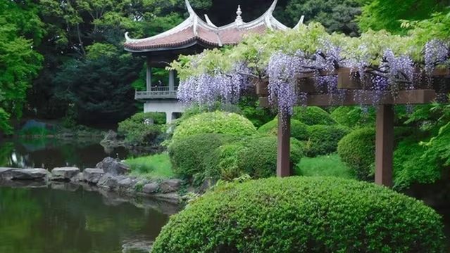 Jardín Nacional Shinjuku Gyoen