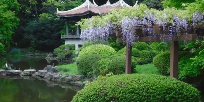 신주쿠 교엔 image 2
