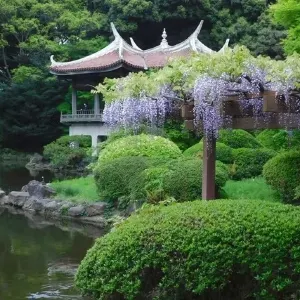 Shinjuku Gyoen National Garden