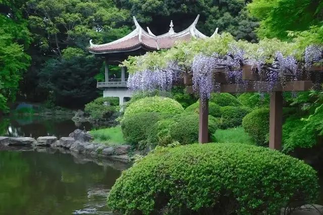 1_Shinjuku Gyoen National Garden