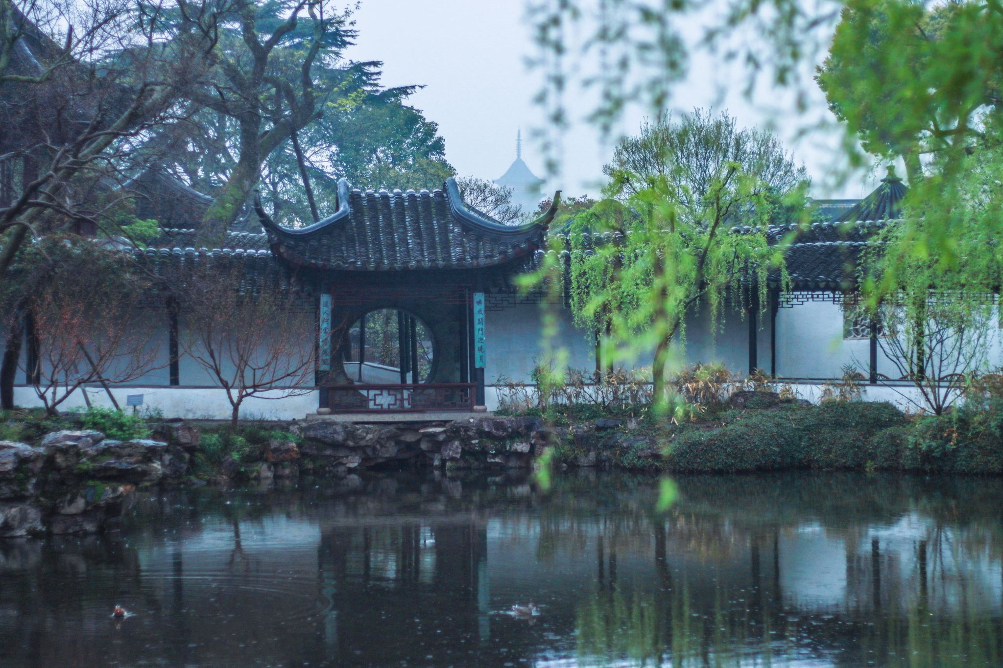 Suzhou Private 1-Day Tour: Tongli Ancient Town, Humble Administrator's Garden, Lion Grove Garden, and Beisi Pagoda